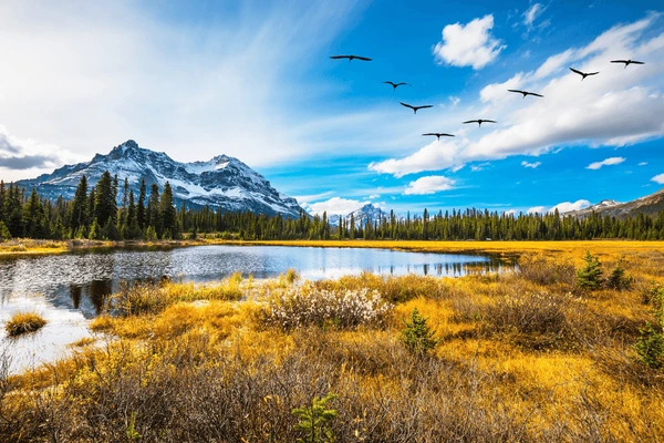 Peaceful Canadian nature scene representing our mission